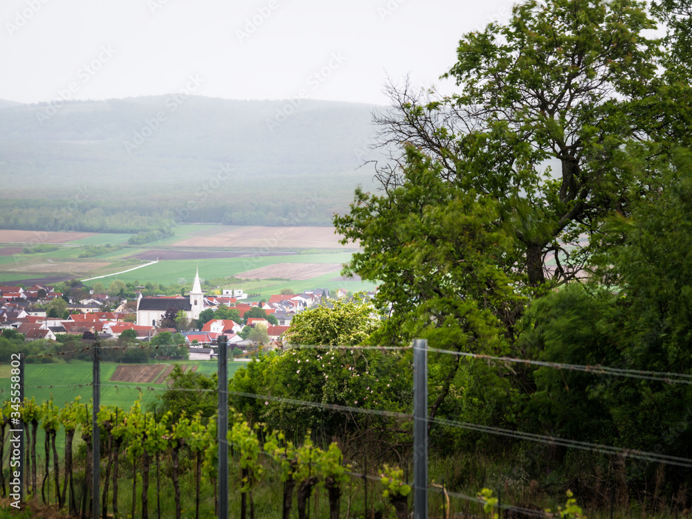 Fototapeta premium Village in Burgenland with rain and mist