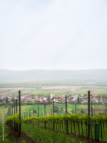 Village in Burgenland with rain and mist