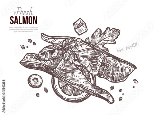 Top view salmon raw slices. Fish meat and finger food for grill and barbecue with greenery and lemon. Restaurant seafood dish. Vector drawing engraved sketch