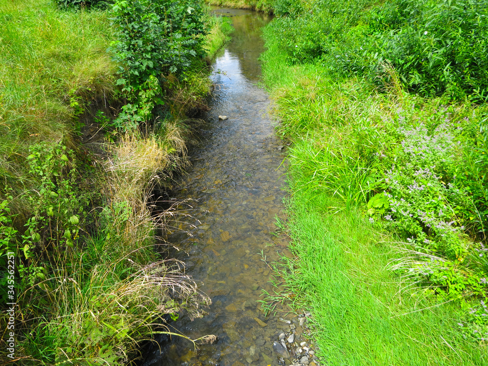 mountain river with clear water in summer mountain river with clear water in summer