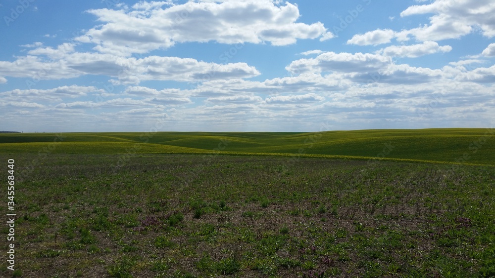 green field and blue sky green field and blue sky