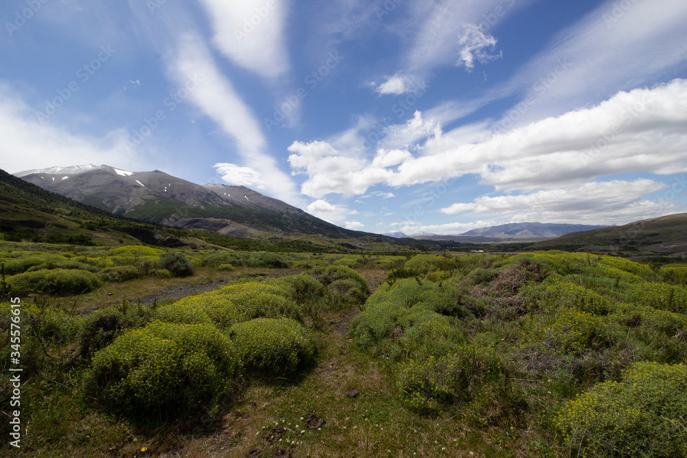Fototapeta premium paesaggio torres del paine