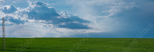 Cloudy blue sky and green young wheat panoramic shot web banner