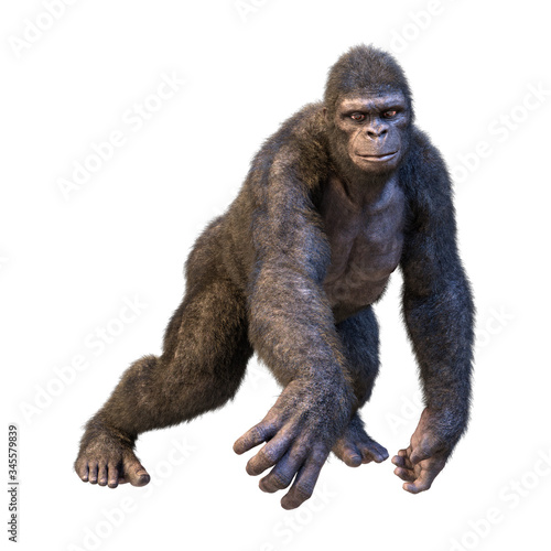 3D Rendering Gorilla Ape on White