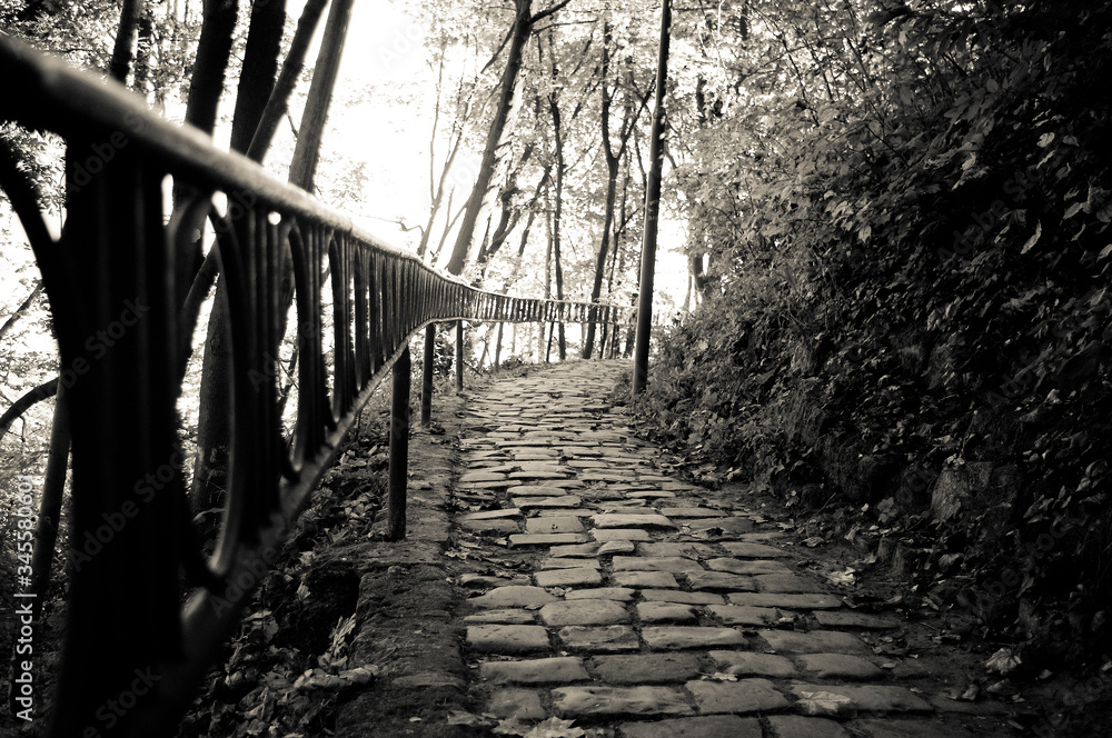 Fototapeta premium Old vintage paving stone road going high. Black and white image.