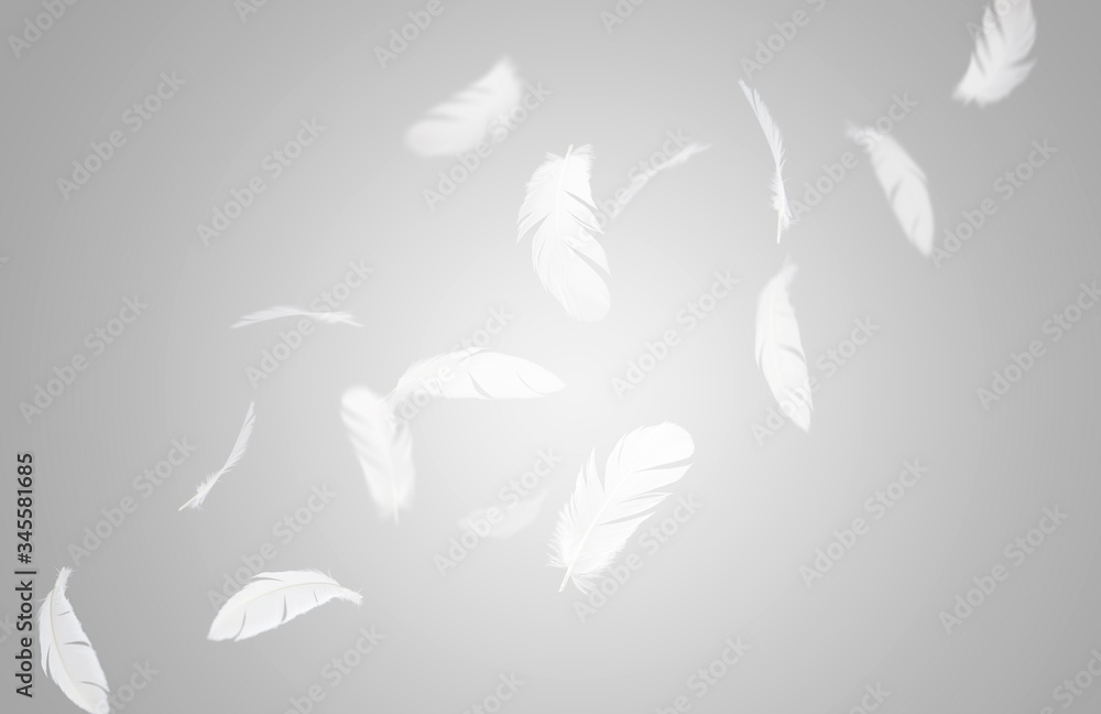 white feathers floating in the air, gray background, feather abstract background