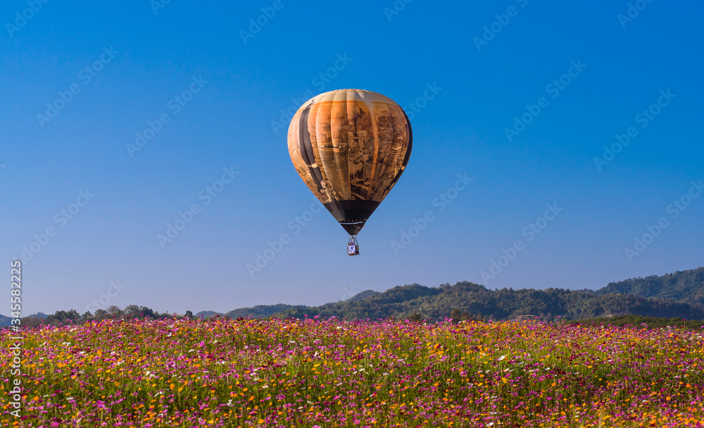 Fototapeta premium Close up hot air balloon flying up on cosmos field with blue sky background