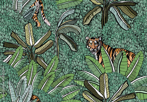 Seamless Pattern India Tiger Hides in Bushes Mountains, Green Tropics Oriental Print, India Style Hand Drawn Floral Wallpaper, Wildlife in Banana Leaves Textile Design 