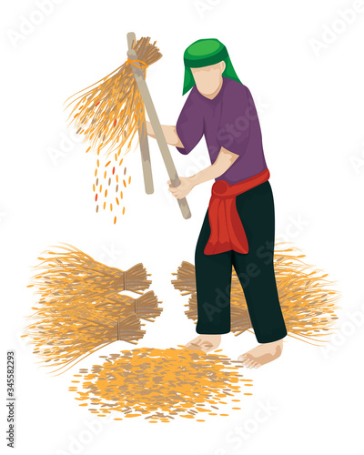 isolated farmer thrash rice vector design