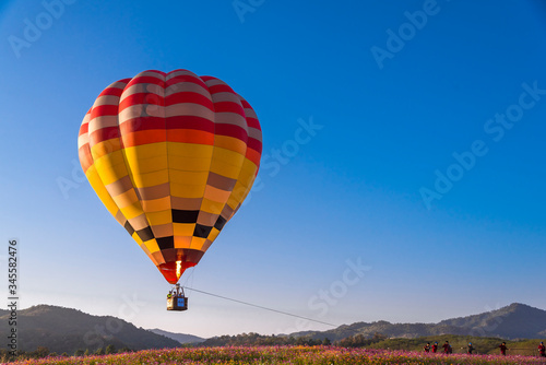 Close up hot air balloon flying up on cosmos field with blue sky background © APchanel