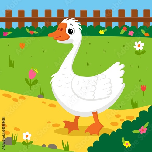 goose