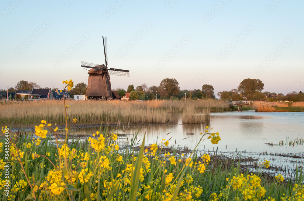 Holenderskie wiatraki nad kanałem wodnym, zachód słońca w Holandii Północnej