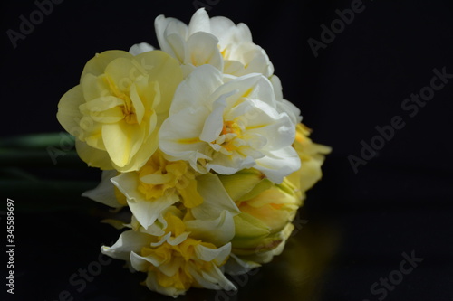 Bouquet of white and yellow varietal daffodils on a dark background