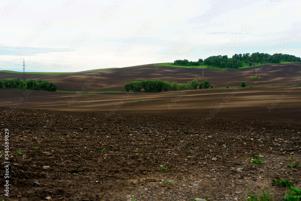 plowed field in the spring