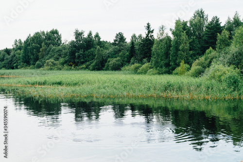 smooth lake and banks with grass