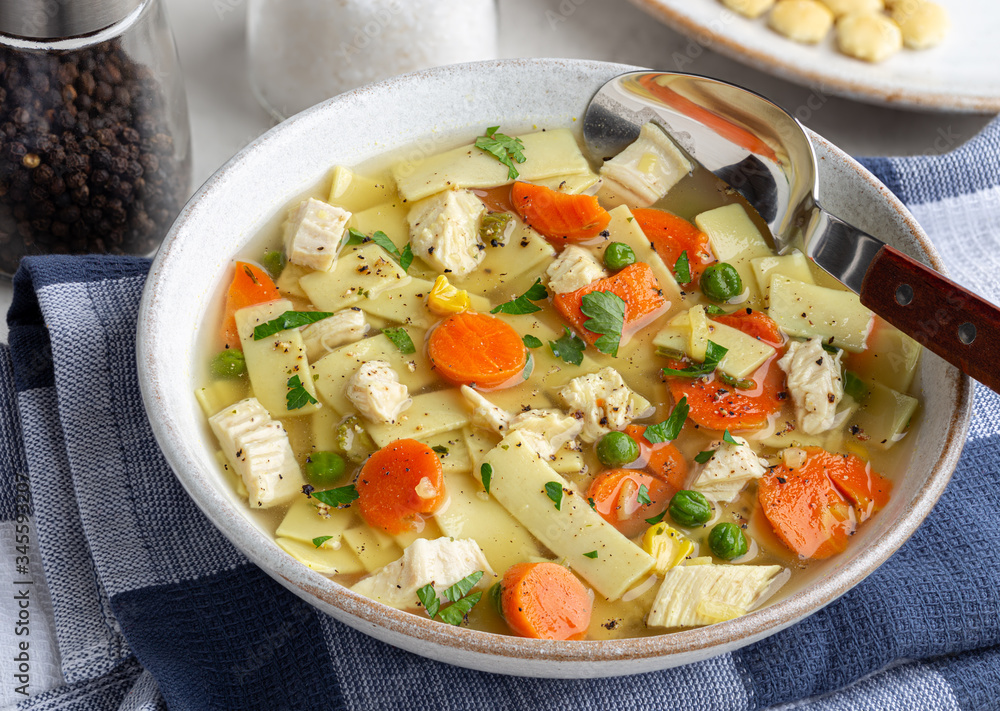 Bowl of Chicken Noodle Soup Bowl of Chicken Noodle Soup