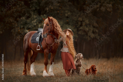 Photography Beautiful long-haired blonde young woman in English style with red draft horse,