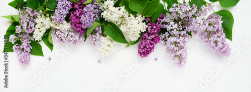 Photos Panorama mit Flieder in allen Farben, header, headline, banner