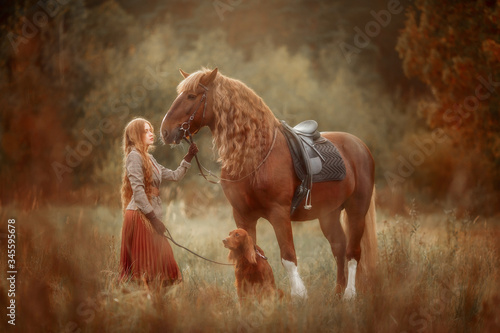 Photography Beautiful long-haired blonde young woman in English style with red draft horse,