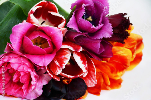 Bright colorful bouquet of varietal tulips on a light background