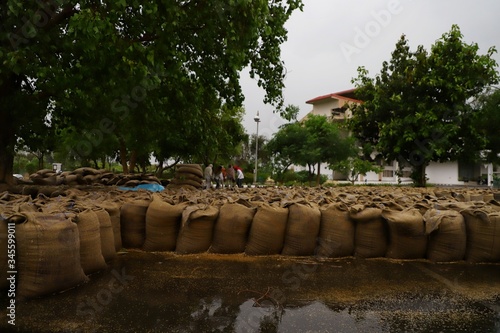 3 may 2020 sirsa\haryana\india.wheat crop kept in cereal market all spoiled due to rain photo