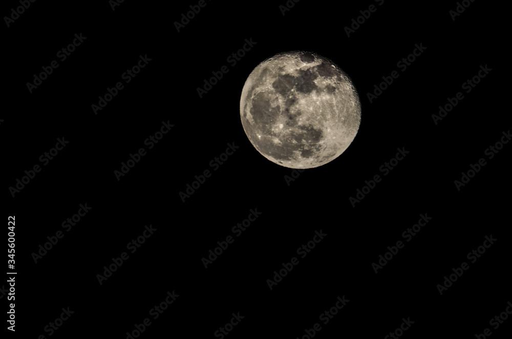 Mond Mond