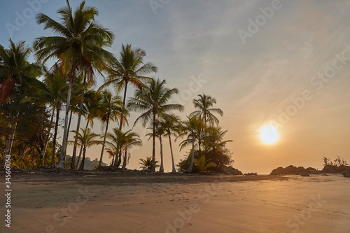 Tropical sandy beach in sunset with palm trees, no people