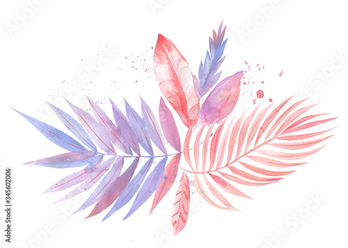 Palm pink and purple leaves  leaves of palm tree  watercolor illustration on isolated white background  greeting card