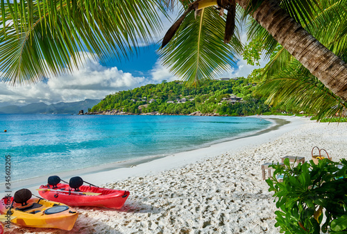 Beach with kayaks and palm tree at Seychelles