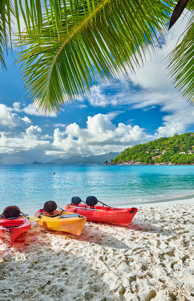 Beach with kayaks and palm tree at Seychelles Beach with kayaks and palm tree at Seychelles