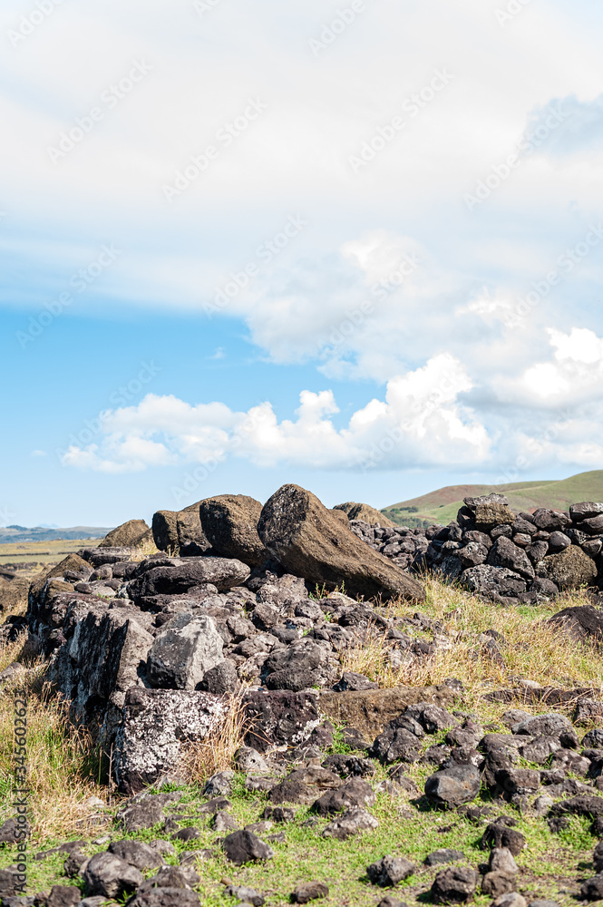 The fallen giants of Akahanga, Easter Island.