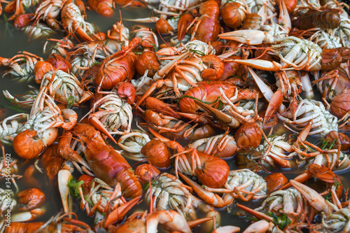 Boiled crawfish, fried crawfish, crawfish étouffée, crawfish beignets. Crayfish or crawdads photo