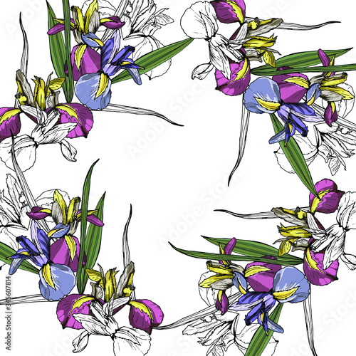 Bouquet of Iris flowers. Isolated over white background. Vector graphics.