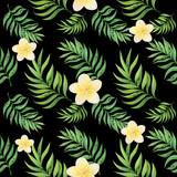 Watercolor seamless pattern with tropical leaves and plumery on black background