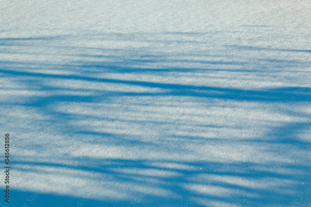The shadow of the trees on a clean and fresh snow. Winter abstract background. Smooth surface with sparkling ice crystals The shadow of the trees on a clean and fresh snow. Winter abstract background. Smooth surface with sparkling ice crystals