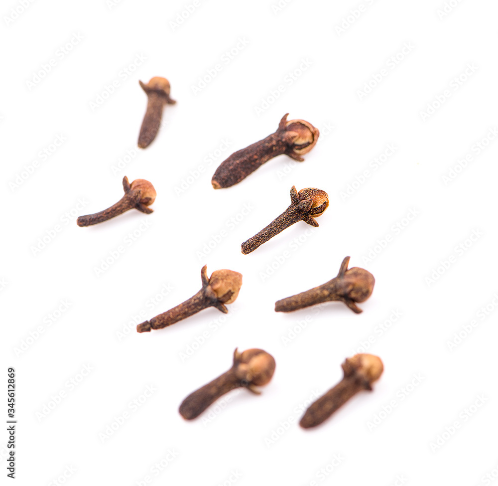 dry cloves an isolated on white background. dry cloves an isolated on white background.