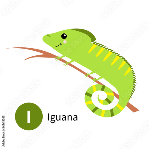 Letter I. Iguana. Zoo animal alphabet. English abc with cute cartoon kawaii funny baby animals. Education cards for kids. Isolated. White background. Flat design.