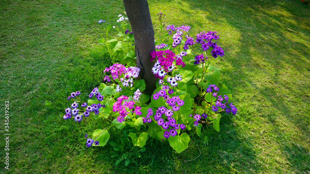 Obraz premium pink, white and violet flower bunch in garden