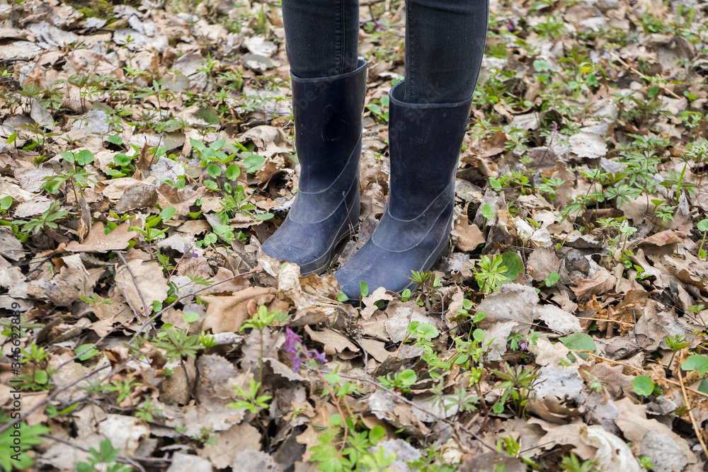 .a man in rubber boots in the forest stands on dry grass and plants. Mushroom picker in the forest. farmer in boots. .a man in rubber boots in the forest stands on dry grass and plants. Mushroom picker in the forest. farmer in boots.