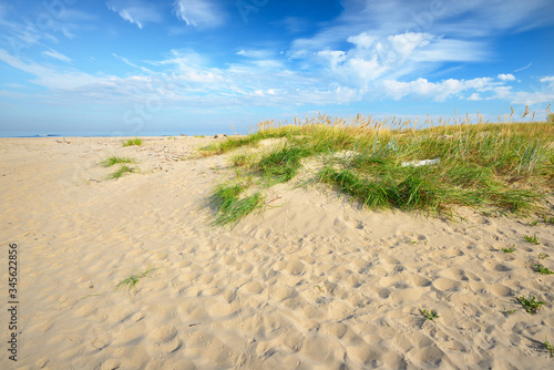 Fototapeta Naklejka Na Ścianę i Meble -  Sandy shore of the Baltic sea on a sunny summer day. Green grass and plants close-up. Clear blue sky with cirrus clouds. Idyllic seascape. Recreation theme. Germany