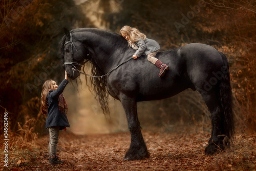 Little sisters with Friesian stallion with long hair outdoor portrait in an autumn forest