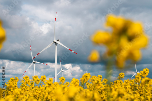 Windfarm in northern Germany surrounded by yellow raps field and blue sky