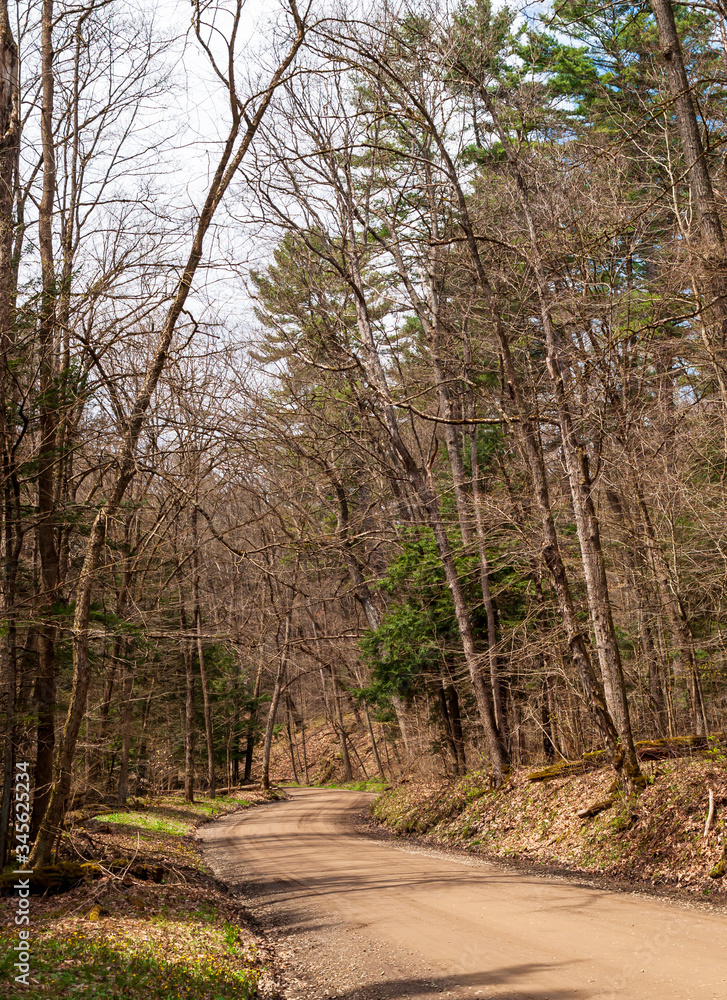 A winding dirt road through bare spring woods on a sunny spring day in Warren County, Pennsylvania, USA A winding dirt road through bare spring woods on a sunny spring day in Warren County, Pennsylvania, USA
