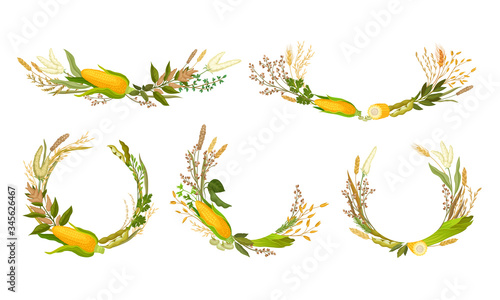 Agricultural Composition with Different Spikelets and Crops Like Corn and Wheatear Vector Set