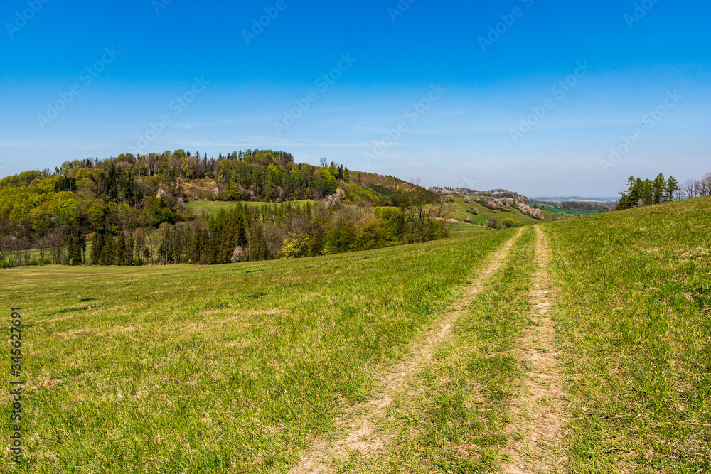 dirt road through a green field in spring on a clear day