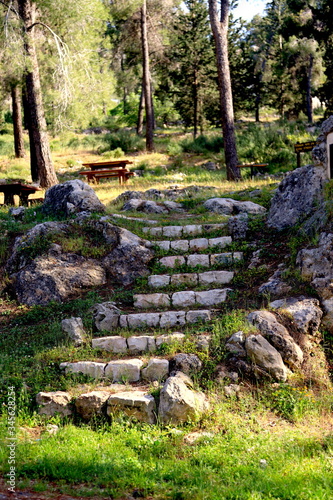 Stairs between grassy thickets