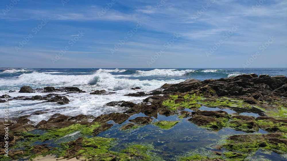 Rock pools covered with green algae, as waves form on the atlantic ocean. Beach of Povoa de Varzim, Portugal.