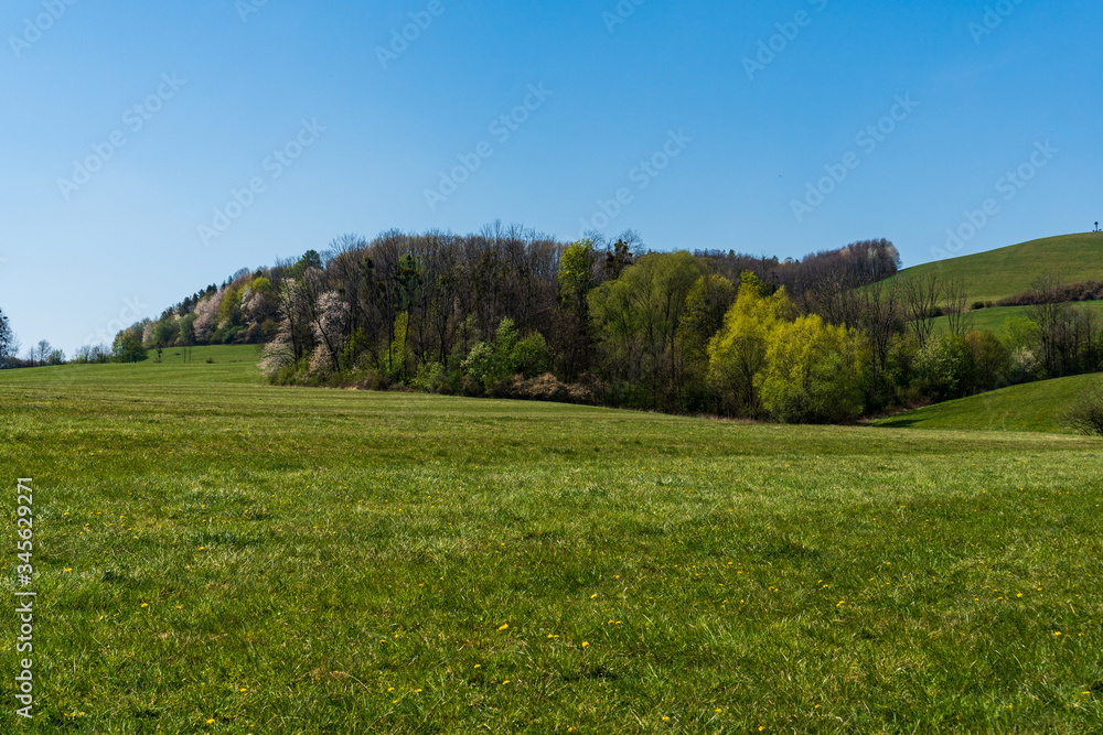 green pastures in spring with flowering trees, Czech Beskydy