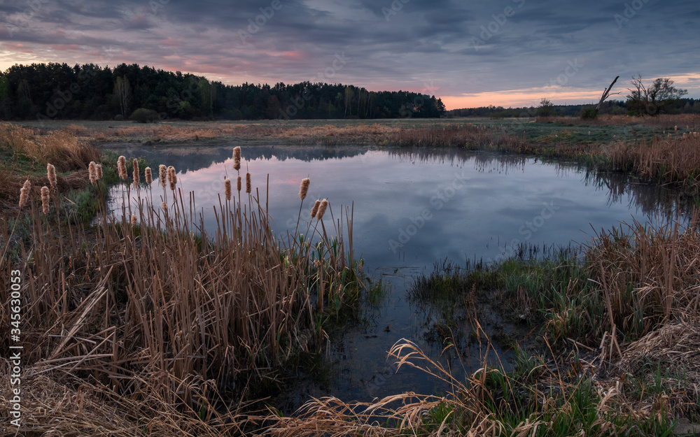 Sunrise in the Jeziorka valley near Piaseczno, Masovia, Poland