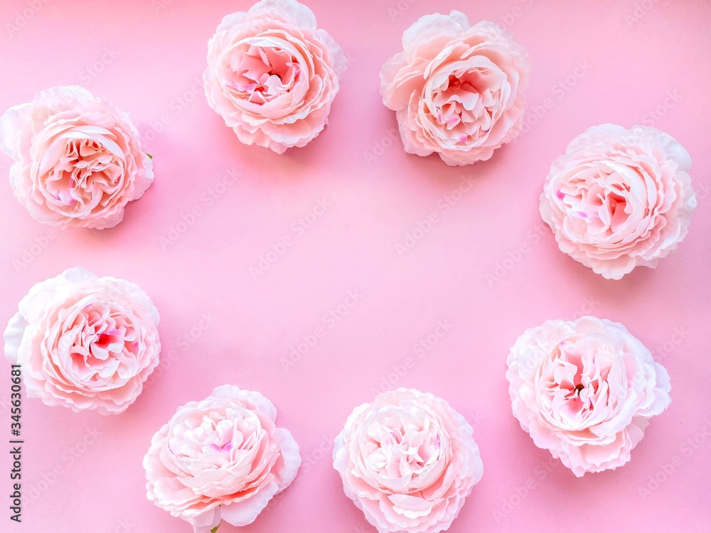 Delicate pink peonies flowers in the form of a frame, romantic background for your projects. Beauty concept.